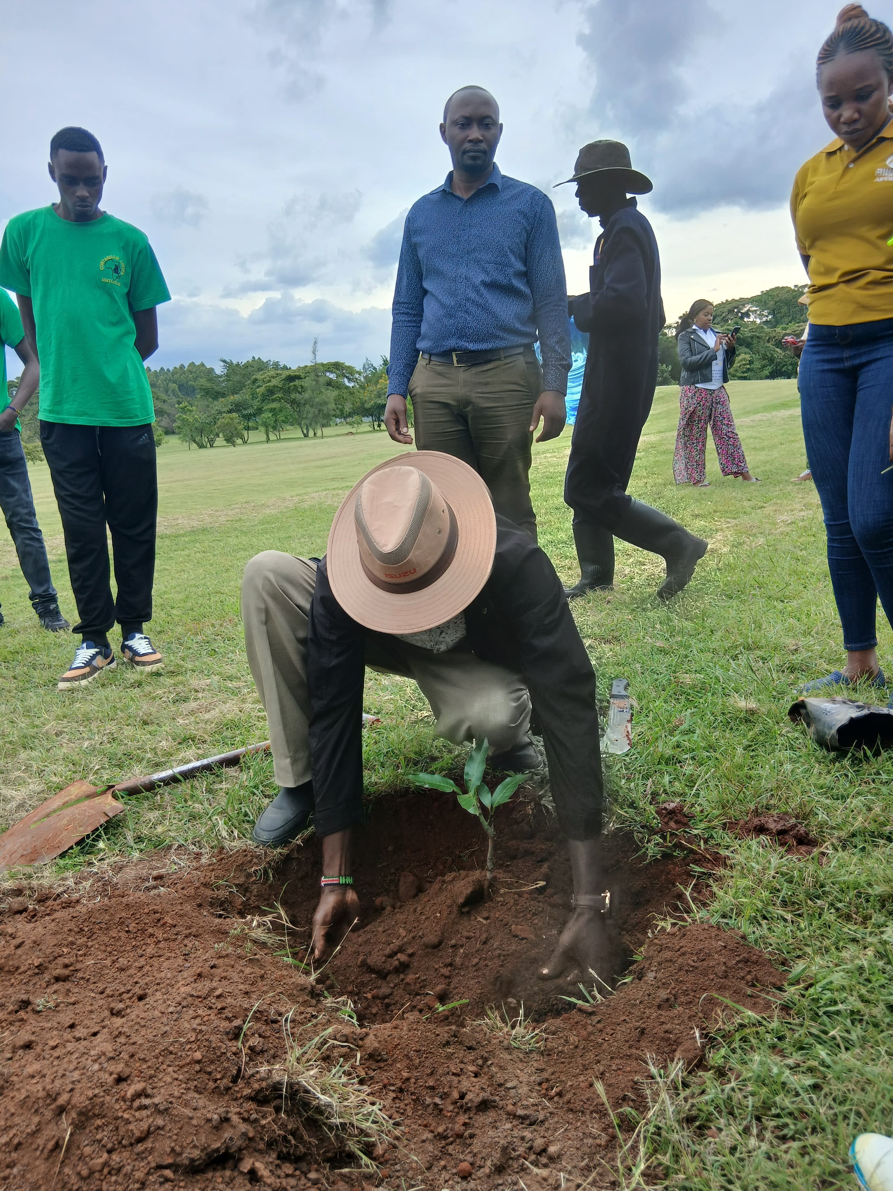 Tree planting at Ruiru Sports Club - Completed work