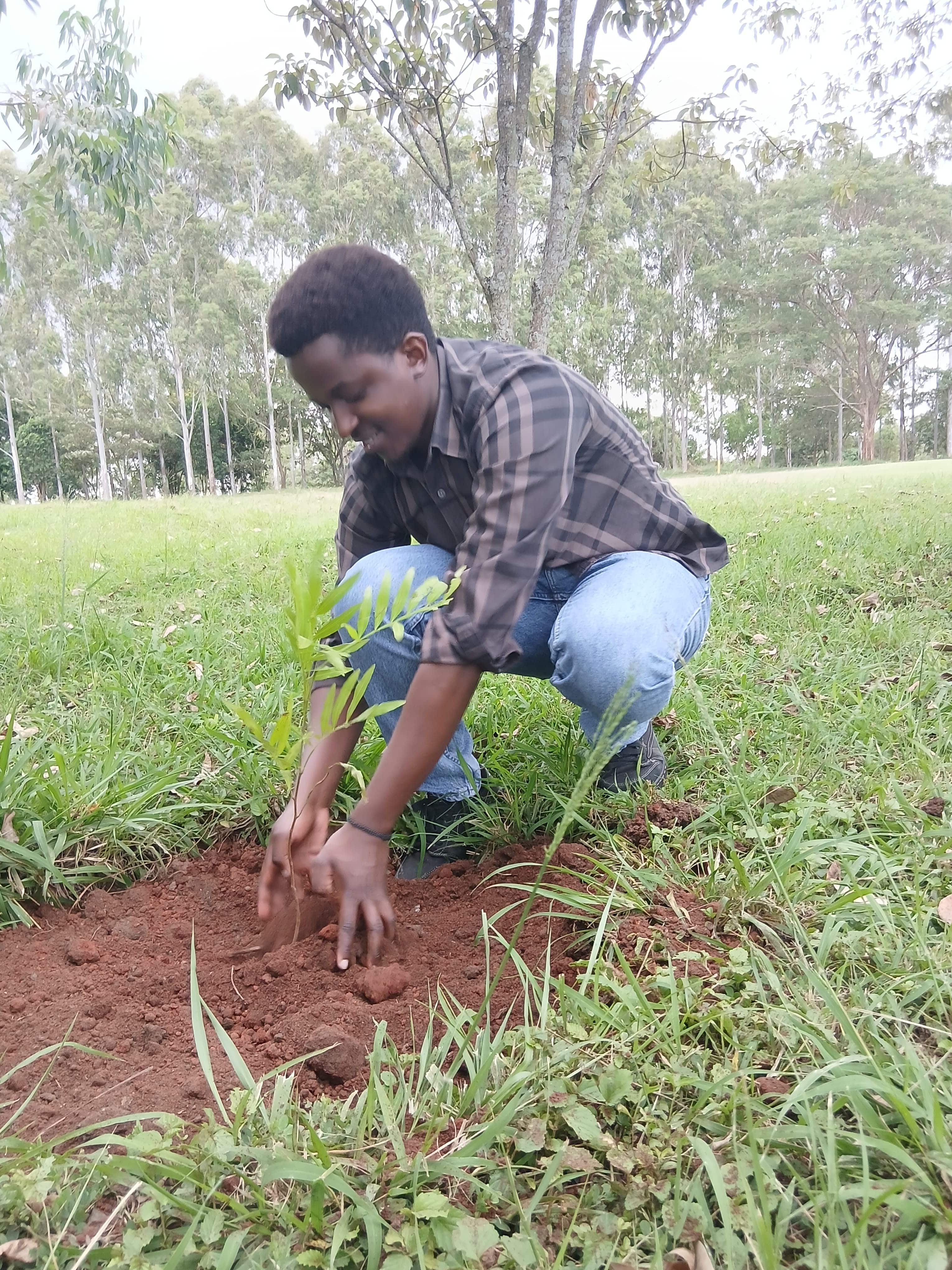 Tree planting at Ruiru Sports Club - Completed work