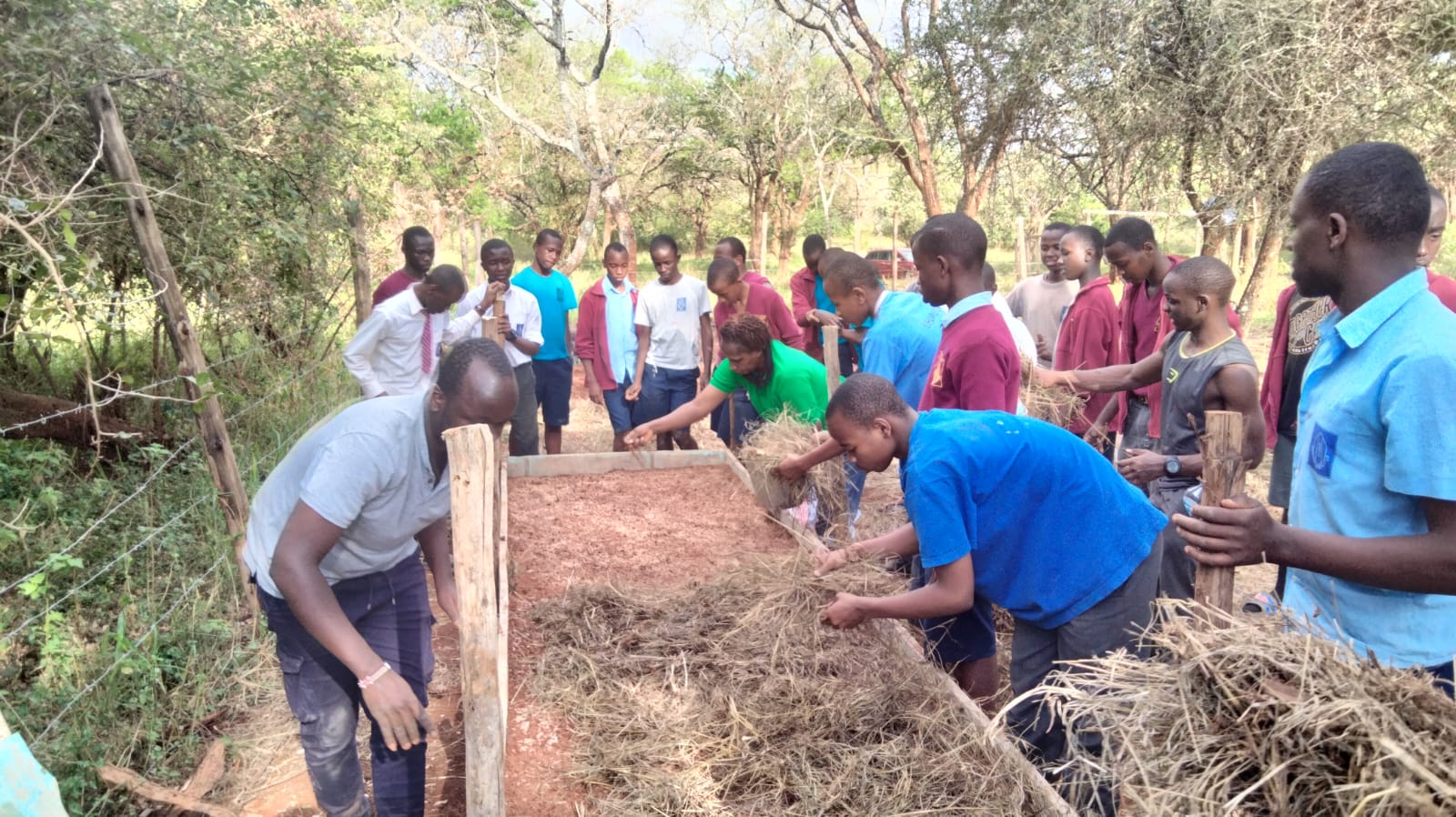 Tree planting at Ruiru Sports Club - Completed work